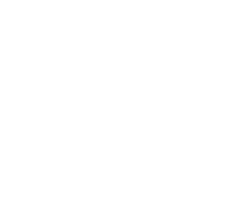 Logotype Born to be Wild en blanc